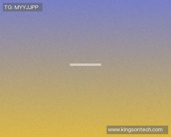 追逐梦想的篮球明星们用汗水书写励志人生的故事